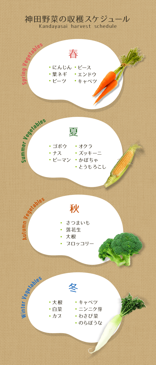 北九州市で無農薬の野菜や果実を栽培して販売｜定期便｜観光農園